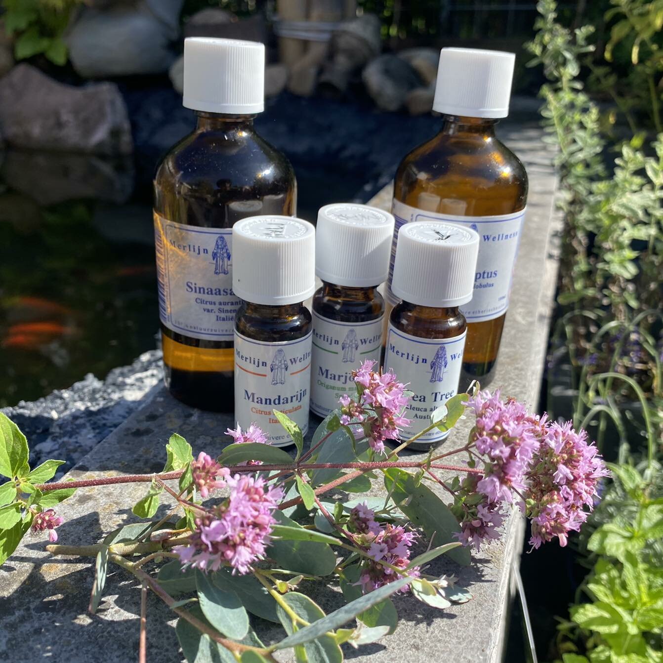 Merlijn Wellness