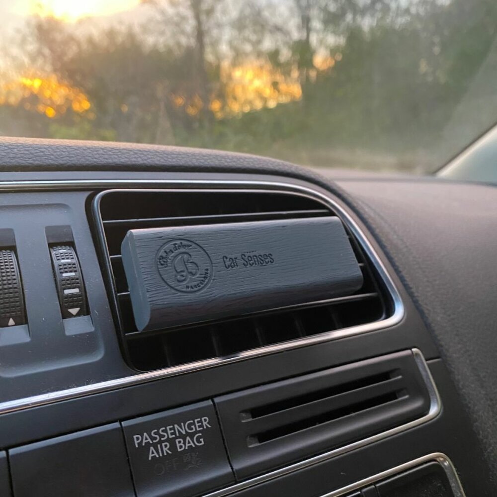 Iceberg car senses autoparfum boles dolor