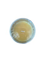 citronella geurkaars mini