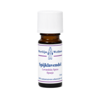 spijk lavendel etherische olie