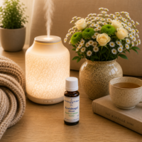Kruidnagel bloem etherische olie - merlijn wellness
