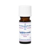 spijk lavendel etherische olie