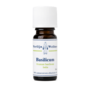 basilicum etherische olie