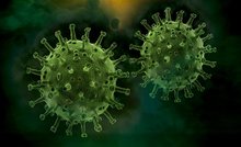 Etherische oliën Corona virus Etherische-oliën-Corona-virus