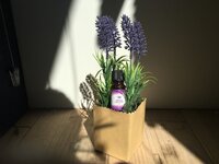 Etherische olie bij slapen